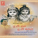 Tu Hi Ram Tu Hi Shyam - Anuradha Paudwal Song Download
